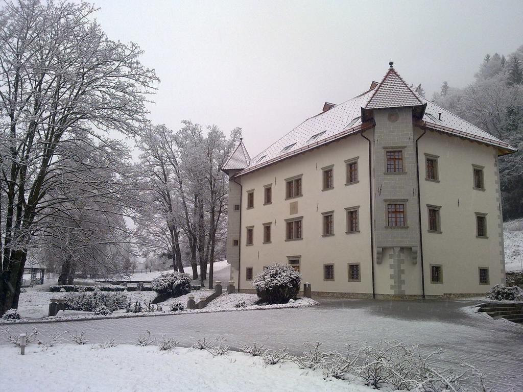 Lambergh Chateau & Hotel Dvorska Vas Kültér fotó