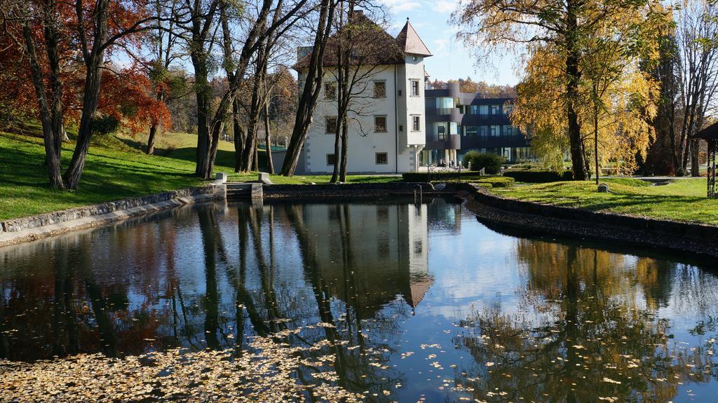 Lambergh Chateau & Hotel Dvorska Vas Kültér fotó